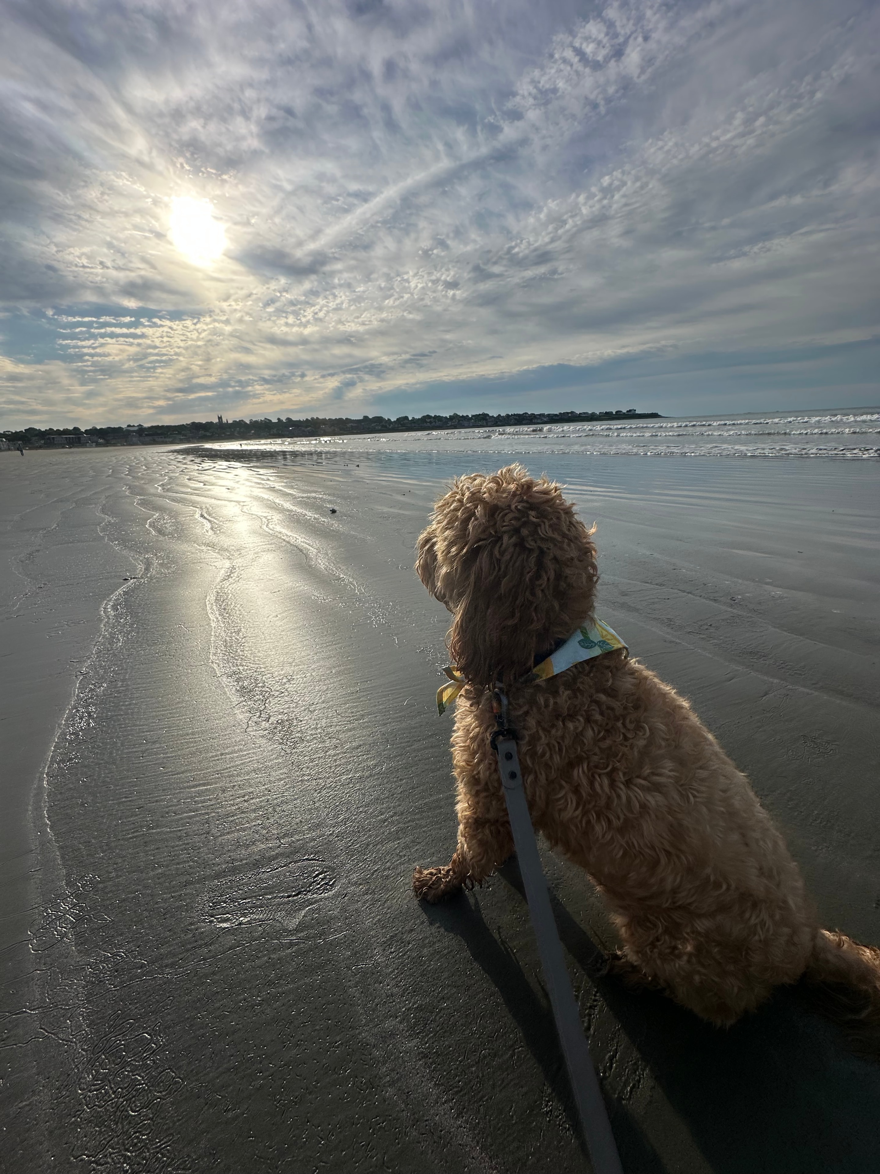 Ocean at golden hour